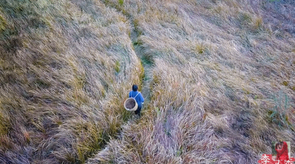 img3.gif