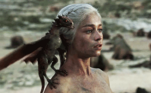 img2.gif