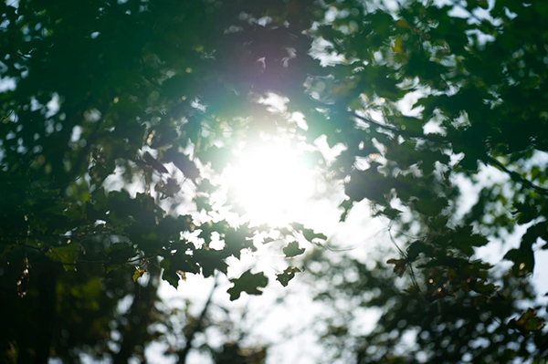img4.jpg